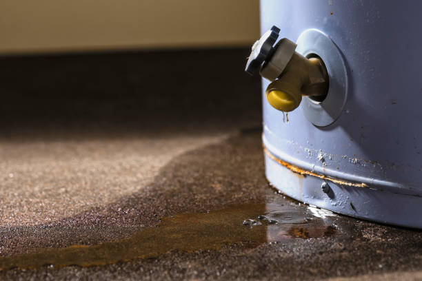 Best Sewage cleanup and water damage restoration  in Cloverdale, VA