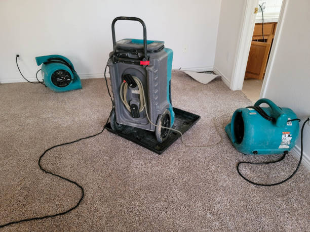 Best Flooded house restoration  in Cloverdale, VA