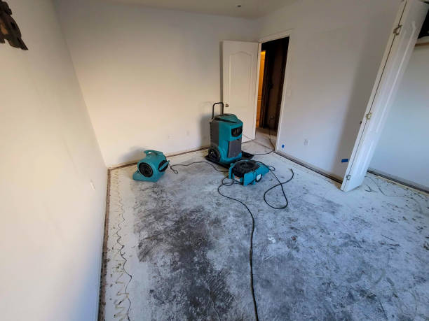 Best Professional water damage repair  in Cloverdale, VA