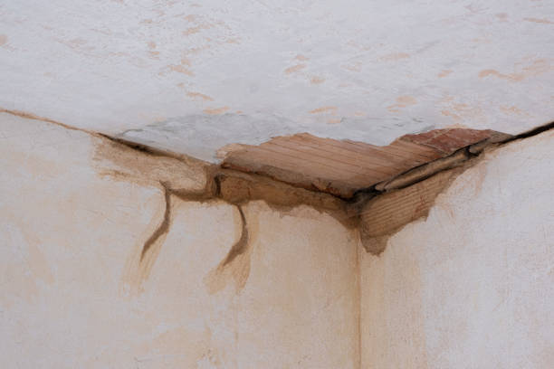 Water damage restoration mold remediation in VA