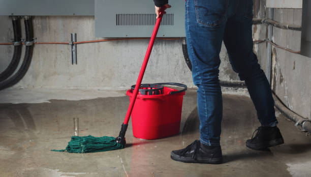 Best Water damage restoration cost  in Cloverdale, VA