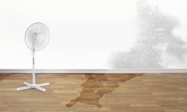 Best Water damage cleanup near me  in Cloverdale, VA