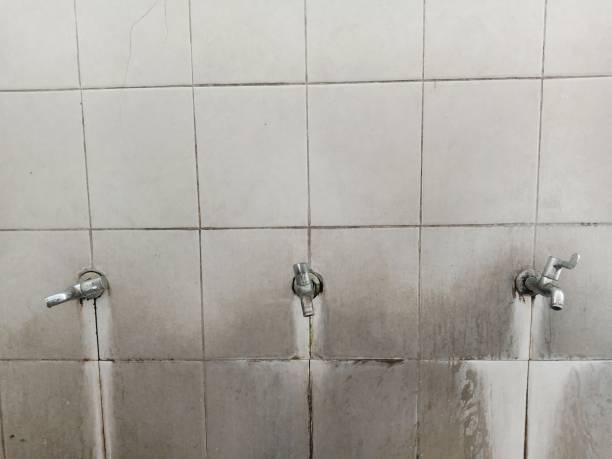 Best Water damage restoration specialists  in Cloverdale, VA
