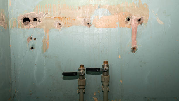 Best Water damage restoration mold remediation  in Cloverdale, VA