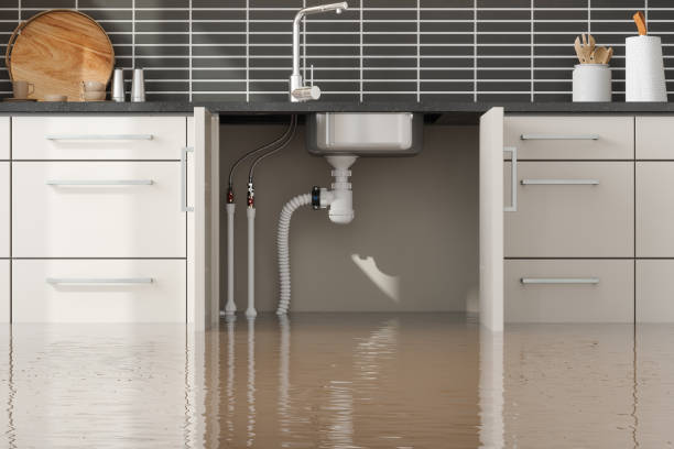 Best Water damage contractors near me  in Cloverdale, VA