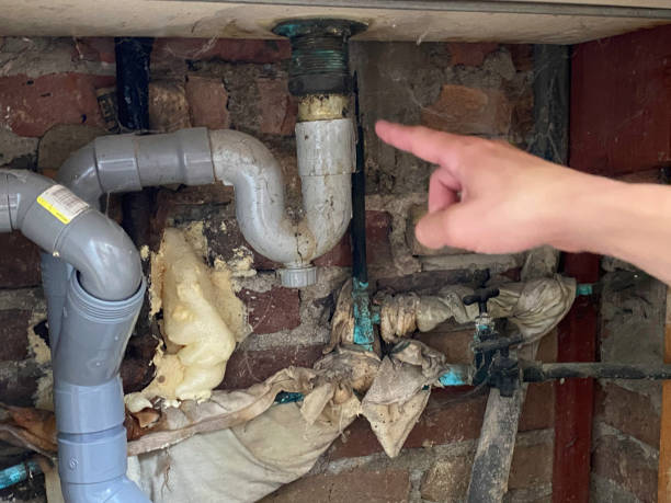 Best Carpet water damage restoration  in Cloverdale, VA