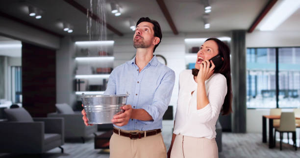 Best Flood restoration services  in Cloverdale, VA
